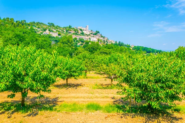 Lacoste village in France viewed behind vineyard