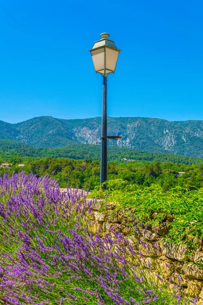 Een Straat Lamp Achter Lavendel Menerbes Franc — Stockfoto