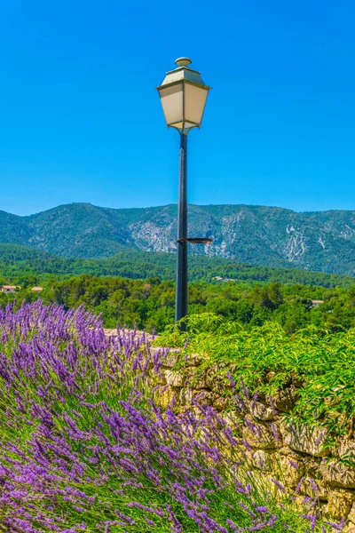 Lavanta Menerbes Frangı Arkasında Bir Sokak Lambası — Stok fotoğraf