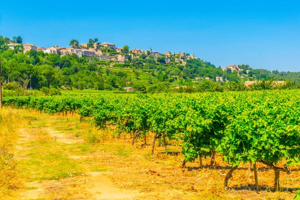 Villaggio Menerbes Francia Visto Dietro Vigna — Foto Stock