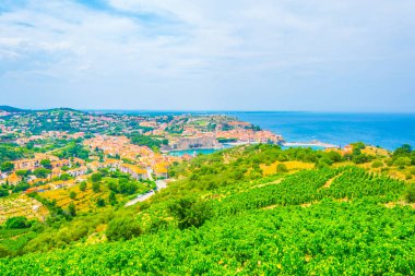 Collioure ve onun Kraliyet Kalesi, Frangı havadan görünümü