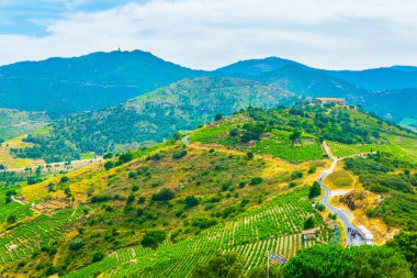 Pyrenees Orientales Frangı Collioure yakınındaki