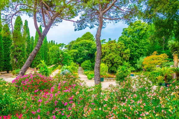Montpellier Frangı Botanik Bahçesi — Stok fotoğraf