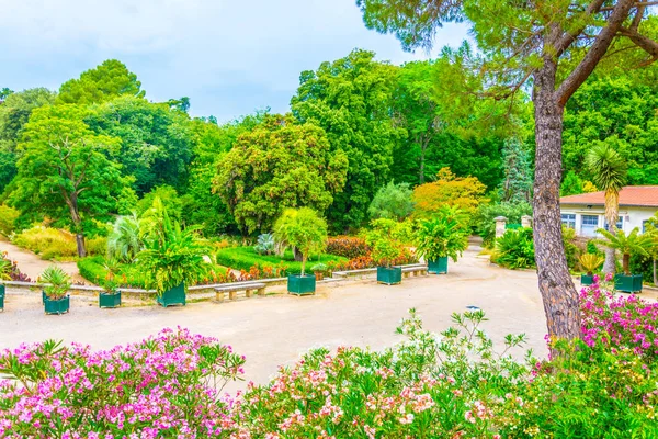 Botaniska Trädgården Montpellier Franc — Stockfoto