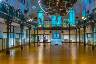 Monaco, Monaco, 14 Haziran 2017: İç Musee oceanographique görünümünü de Monac