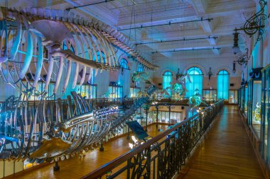 Monaco, Monaco, 14 Haziran 2017: İç Musee oceanographique görünümünü de Monac