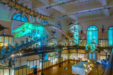 Monaco, Monaco, 14 Haziran 2017: İç Musee oceanographique görünümünü de Monac