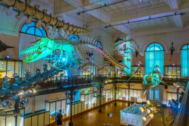 MONACO, MONACO, JUNE 14, 2017: View of interior of Musee oceanographique de Monac clipart