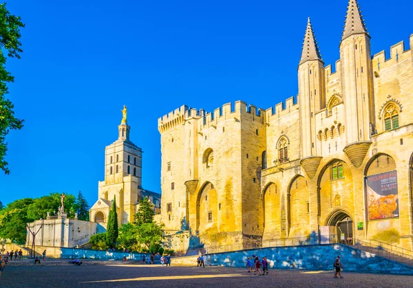 Avignon Francja Czerwca 2017 Naprzeciwko Palais Papes Katedry Avignon Frank — Zdjęcie stockowe