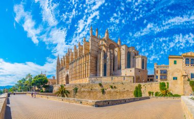 Catedral de Mallorca, Spai clipart