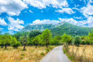 Mallorca 'da Necropoli de Son Real, Spai
