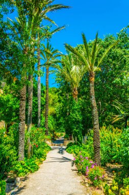 Oğlum Marroig, eski konak Arşidük Luis Salvado, Mallorca, Spai, Bahçe