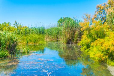 Albufera bataklıklar milli park Mallorca, Spai
