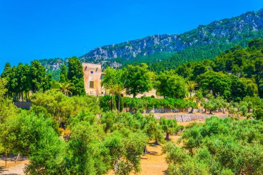 Monestir de Miramar 'daki bahçeler Mallorca, Spai