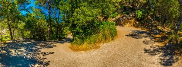 Mallorca Spai Dolambaçlı Bir Sahil Yolu — Stok fotoğraf