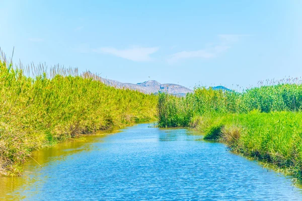 Marismas Del Parque Nacional Albufera Mallorca Spai —  Fotos de Stock