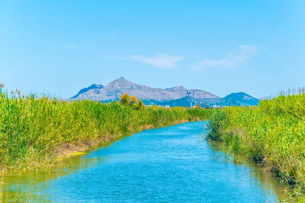 Marismas Del Parque Nacional Albufera Mallorca Spai —  Fotos de Stock