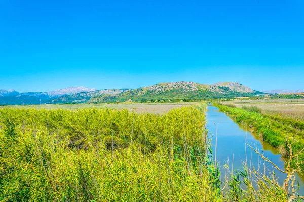 Marismas Del Parque Nacional Albufera Mallorca Spai —  Fotos de Stock