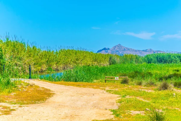 Marismas Del Parque Nacional Albufera Mallorca Spai —  Fotos de Stock