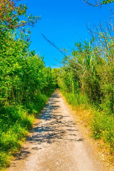 Marshes Albufera National Park Mallorca Spai Stock Image