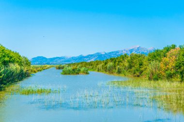 Albufera bataklıklar milli park Mallorca, Spai