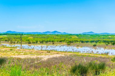 Albufera bataklıklar milli park Mallorca, Spai