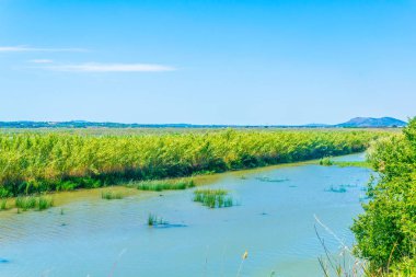 Albufera bataklıklar milli park Mallorca, Spai