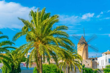 Palma de Mallorca 'da bir yel değirmeni, Spai