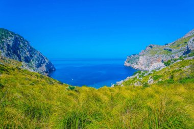 Mallorca, Spai koyunda Cala Figuera