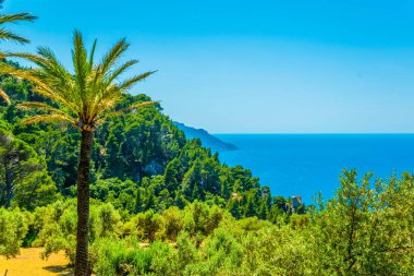 Monestir de Miramar 'daki bahçeler Mallorca, Spai