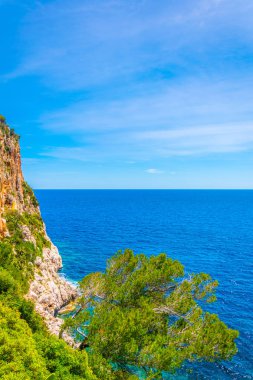 Mallorca, Spai koyunda Canyamel