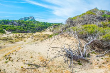 Cala Mesquida 'da kum tepeleri, Mallorca, Spai