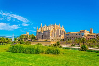 Mallorca Katedrali, Spai
