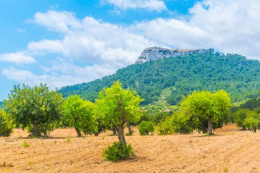 Kırsal Mallorca, İspanya