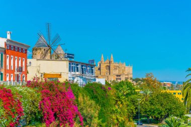 Palma de Mallorca 'da bir yel değirmeni, Spai