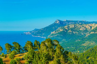 Mallorca Sahil hizalayıp düzensiz bırakmak yakın de Valldemossa, Spai bağlantı noktası