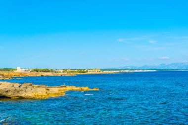 Mallorca, Spai koyunda Alcudia