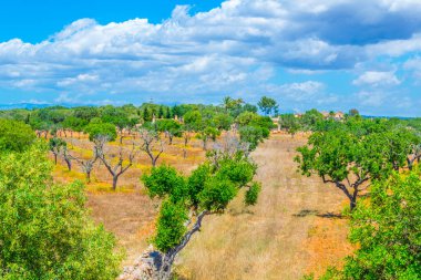 Mallorca, Spai, Talayot Capocorb Vell kalıntıları