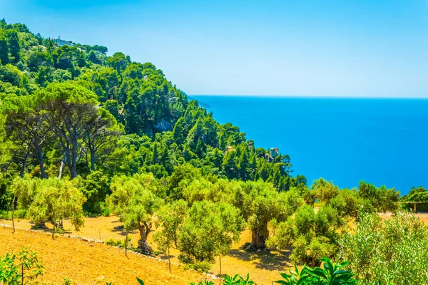 Gärten Von Monestir Miramar Auf Mallorca Spai — Stockfoto
