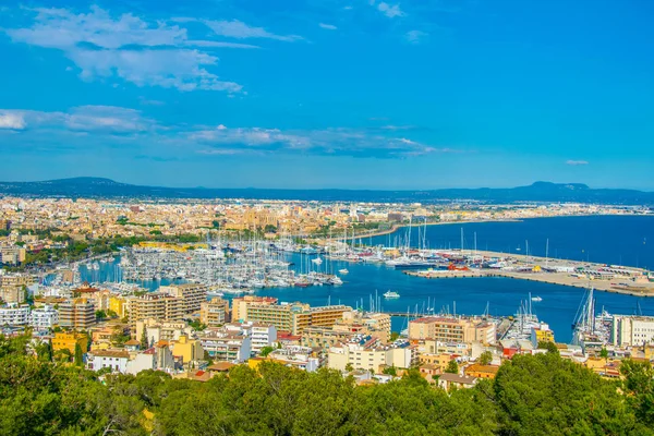 Veduta Aerea Del Porto Palma Maiorca Spai — Foto Stock