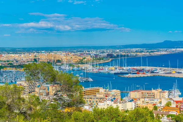 Veduta Aerea Del Porto Palma Maiorca Spai — Foto Stock