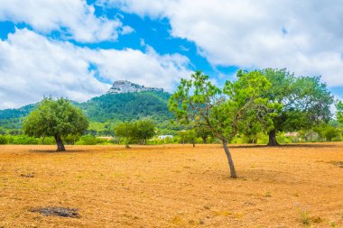 Kırsal Mallorca, İspanya