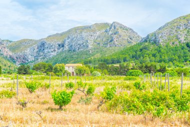 Kırsal Mallorca, İspanya