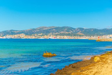 Palma de Mallorca Limanı, Spai