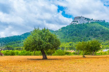 Kırsal Mallorca, İspanya