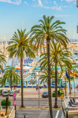 Palma de Mallorca Limanı, Spai