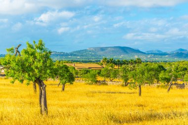 Kırsal Mallorca, İspanya