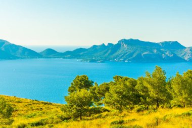 Mallorca, Spai koyunda Pollenca