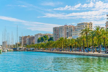 Palma de Mallorca Limanı, Spai