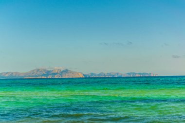 Mallorca, Spai koyunda Alcudia